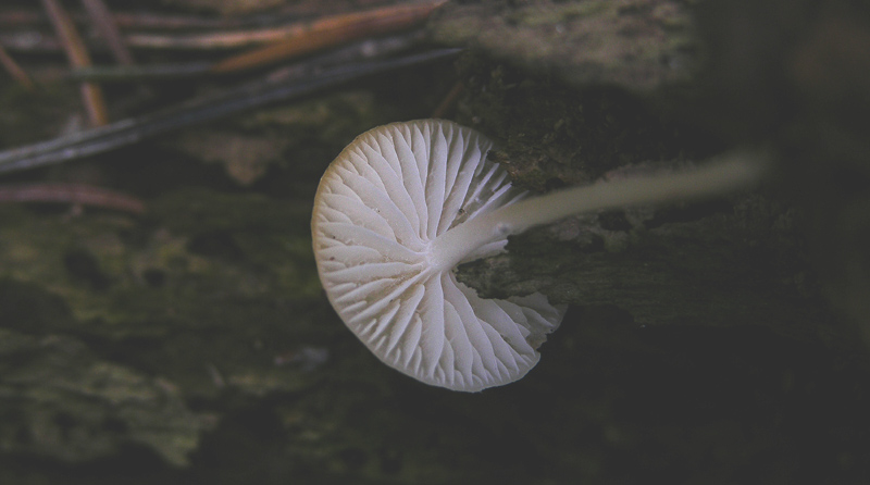Facili,meno facili...per allenamento...